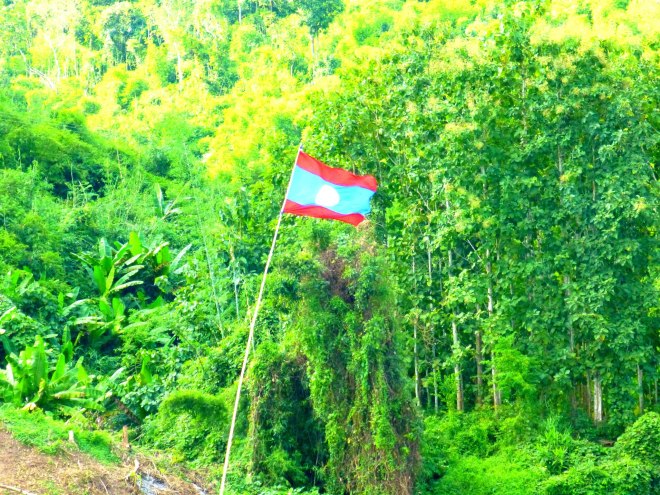 54259_10151083643000493_1369604380_o