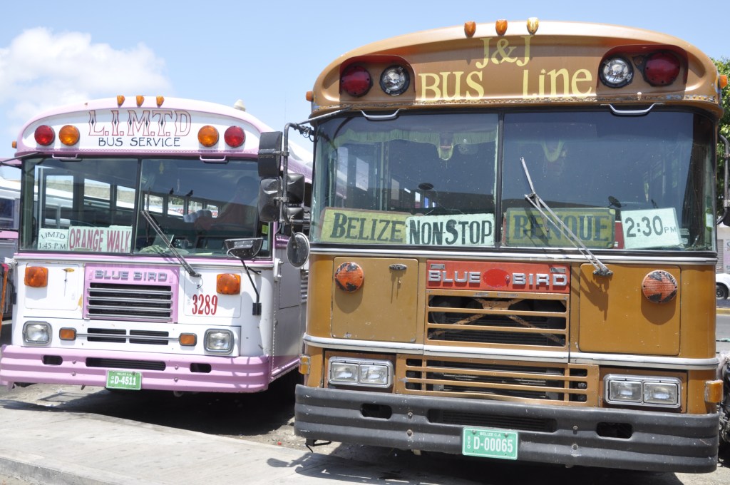 Our bus journeys in the world: from hell to heaven! 