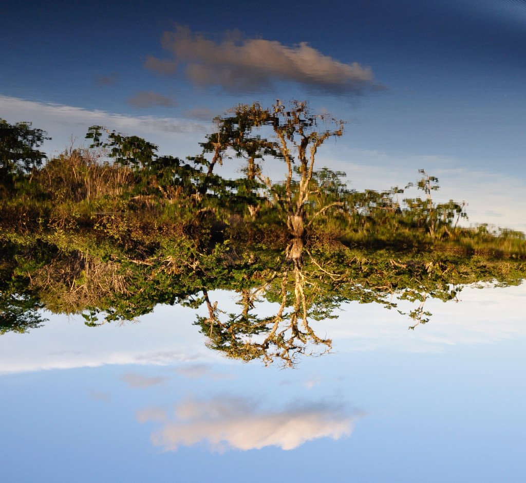 An amaz(o)ng time in the Cuyabeno Reserve or the time we fell in love with the Ecuadorian rest forest 